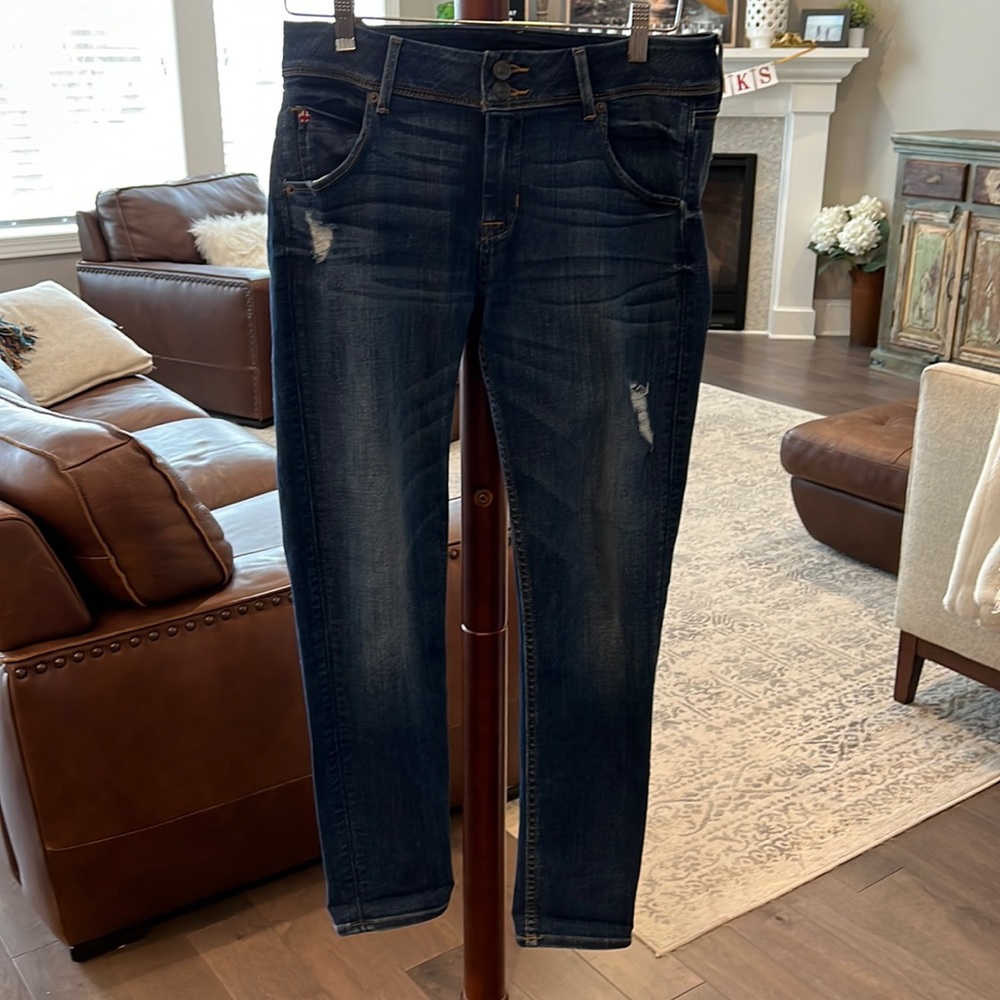 EUC Hudson Jeans